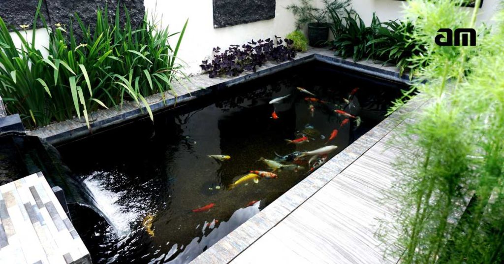 Cara Mengatasi Kolam Ikan Bocor AM